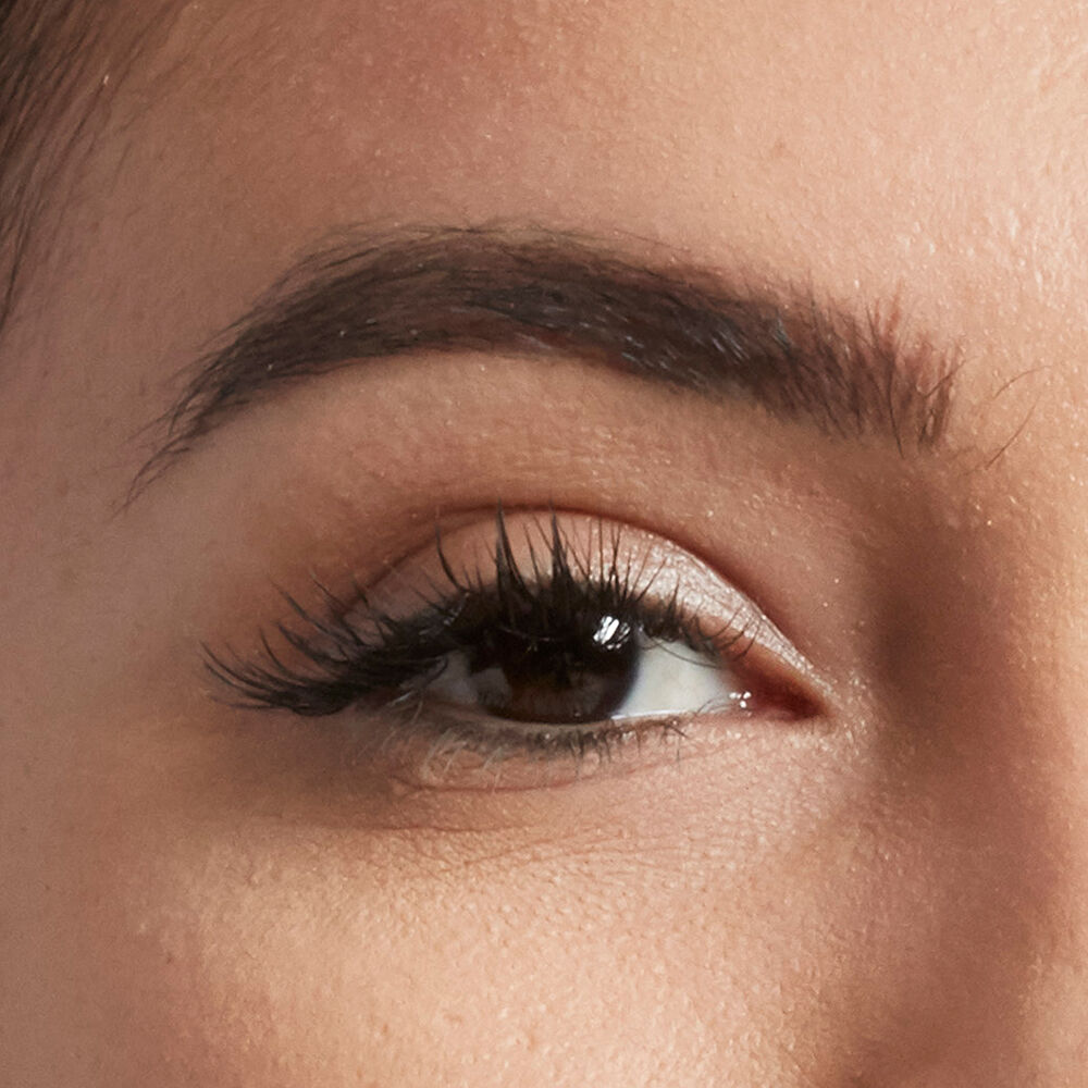 GET SCHOOLED ON BROWS! ROUTINE