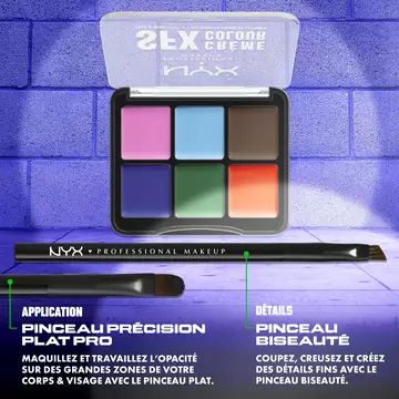 Palette Visage & Corps SFX